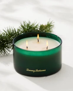 Tommy Bahama 14.5-oz. Boxed 3-Wick Candle Evergreen Outlet