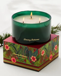 Tommy Bahama 14.5-oz. Boxed 3-Wick Candle Evergreen Outlet