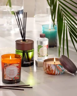 Tommy Bahama Travel Candle Tin Maui Mango Outlet