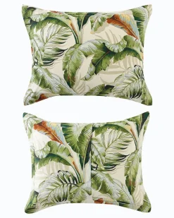 Tommy Bahama Palmiers Queen Comforter Set Green Discount