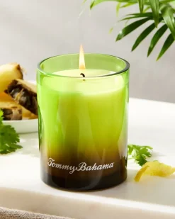Tommy Bahama 7.5-oz. Boxed Poured Candle Pineapple Cilantro