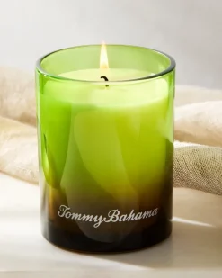 Tommy Bahama 7.5-oz. Boxed Poured Candle Pineapple Cilantro